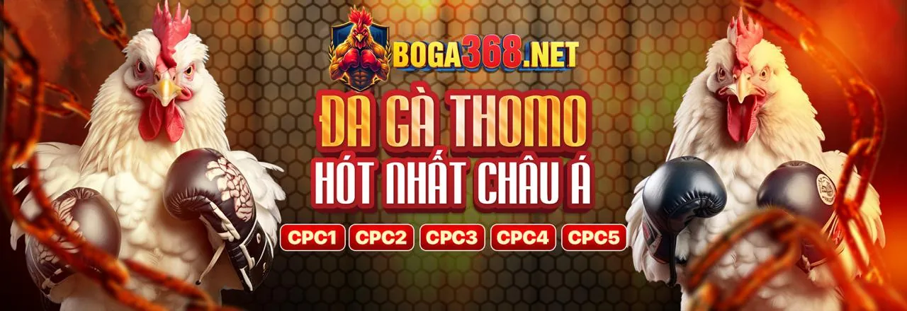 Đá Gà Trực Tuyến X8BET Link Mới